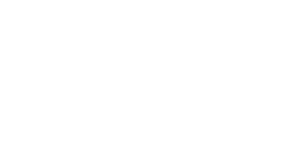 lisa-logo